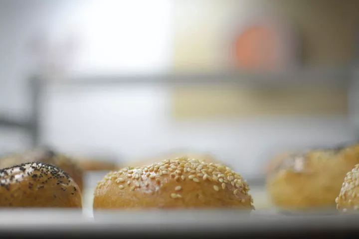 Freshly baked bagels cooling on a tray